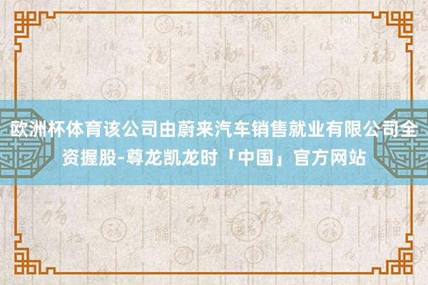 欧洲杯体育该公司由蔚来汽车销售就业有限公司全资握股-尊龙凯龙时「中国」官方网站