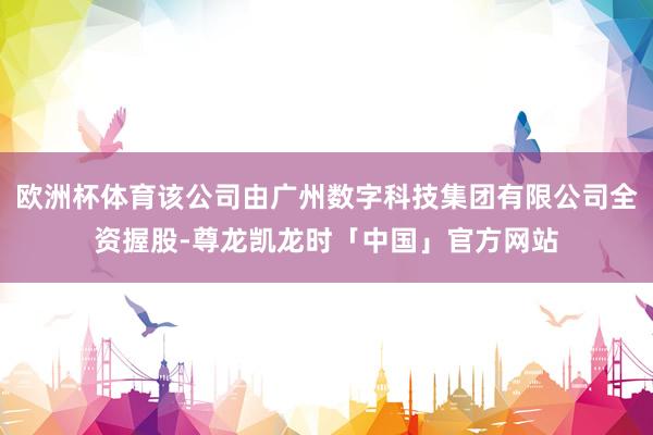欧洲杯体育该公司由广州数字科技集团有限公司全资握股-尊龙凯龙时「中国」官方网站