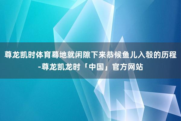 尊龙凯时体育蓦地就闲隙下来恭候鱼儿入彀的历程-尊龙凯龙时「中国」官方网站