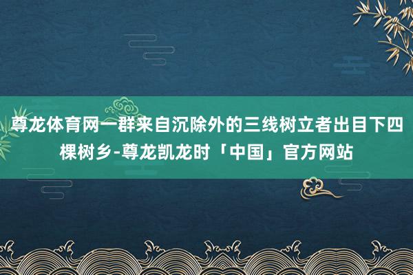 尊龙体育网一群来自沉除外的三线树立者出目下四棵树乡-尊龙凯龙时「中国」官方网站