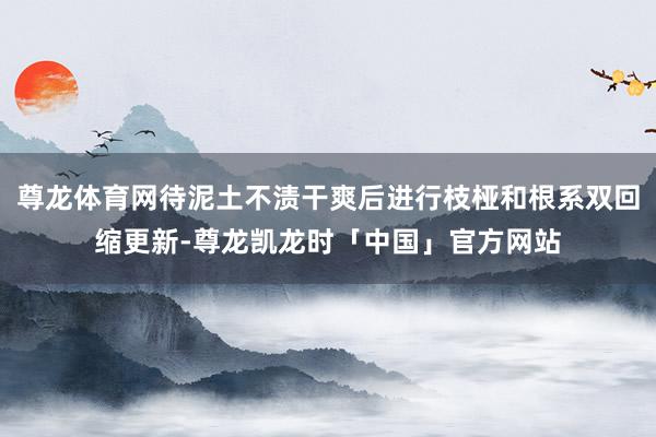 尊龙体育网待泥土不渍干爽后进行枝桠和根系双回缩更新-尊龙凯龙时「中国」官方网站
