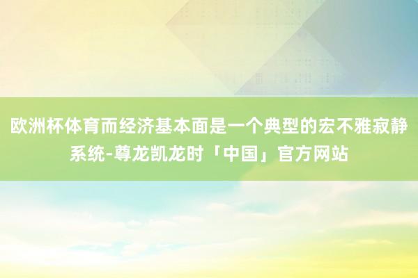 欧洲杯体育而经济基本面是一个典型的宏不雅寂静系统-尊龙凯龙时「中国」官方网站
