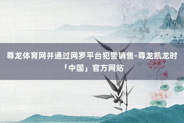 尊龙体育网并通过网罗平台犯警销售-尊龙凯龙时「中国」官方网站