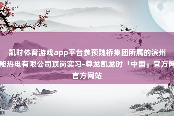 凯时体育游戏app平台参预魏桥集团所属的滨州绿能热电有限公司顶岗实习-尊龙凯龙时「中国」官方网站