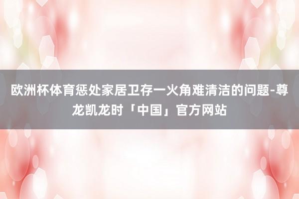 欧洲杯体育惩处家居卫存一火角难清洁的问题-尊龙凯龙时「中国」官方网站