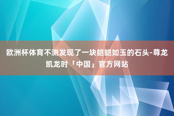 欧洲杯体育不测发现了一块皑皑如玉的石头-尊龙凯龙时「中国」官方网站