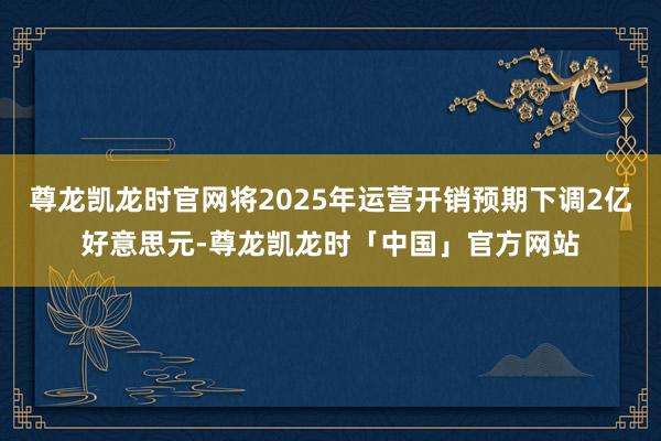 尊龙凯龙时官网将2025年运营开销预期下调2亿好意思元-尊龙凯龙时「中国」官方网站